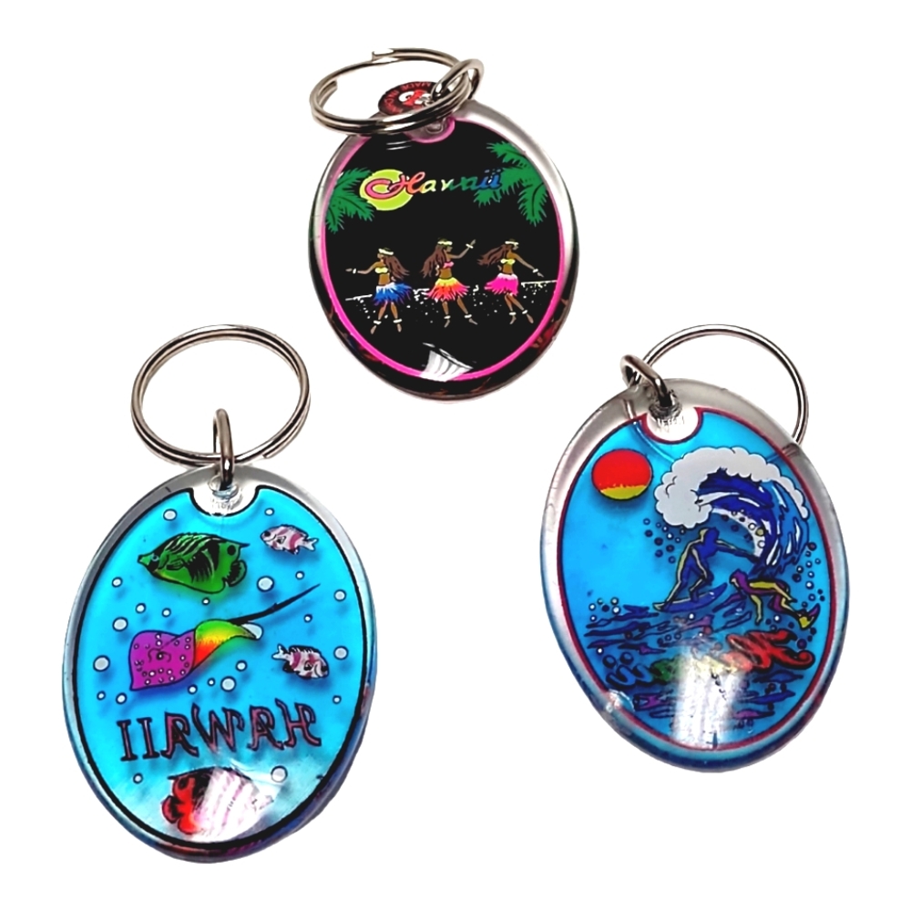 Hawaii Key Chain Or Craft Charm Accent Bundle Of Three View 2